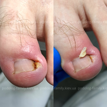 Фото с портфолио Катерина Олександрівна Олійник