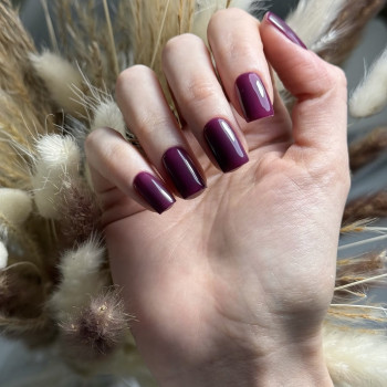 Фото с портфолио Юлія Ільченко