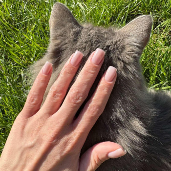 Фото с портфолио Fargo