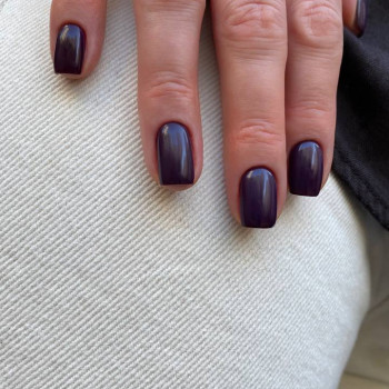 Фото с портфолио Fargo