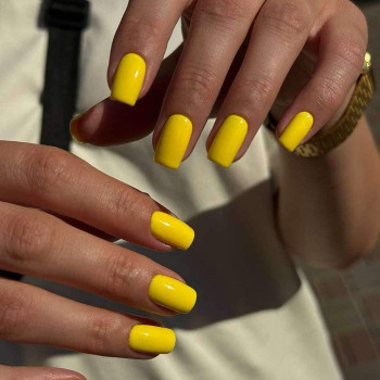 Фото с портфолио Fargo