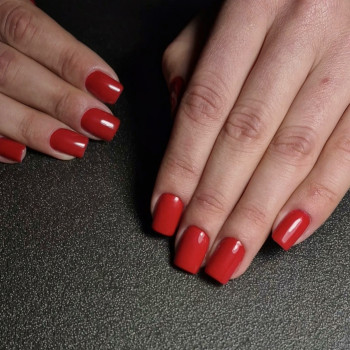 Фото с портфолио Natalia Fedchenko