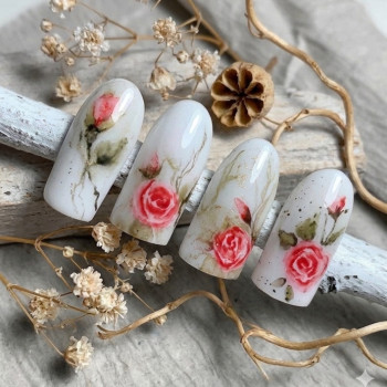 Фото с портфолио Natalia Fedchenko