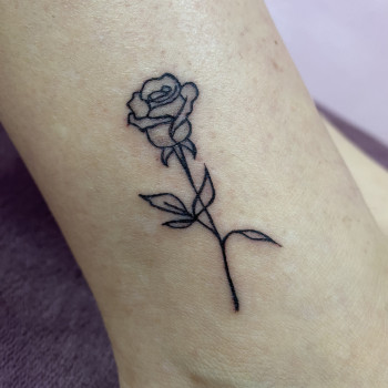 Фото с портфолио Ольга Красноруцька