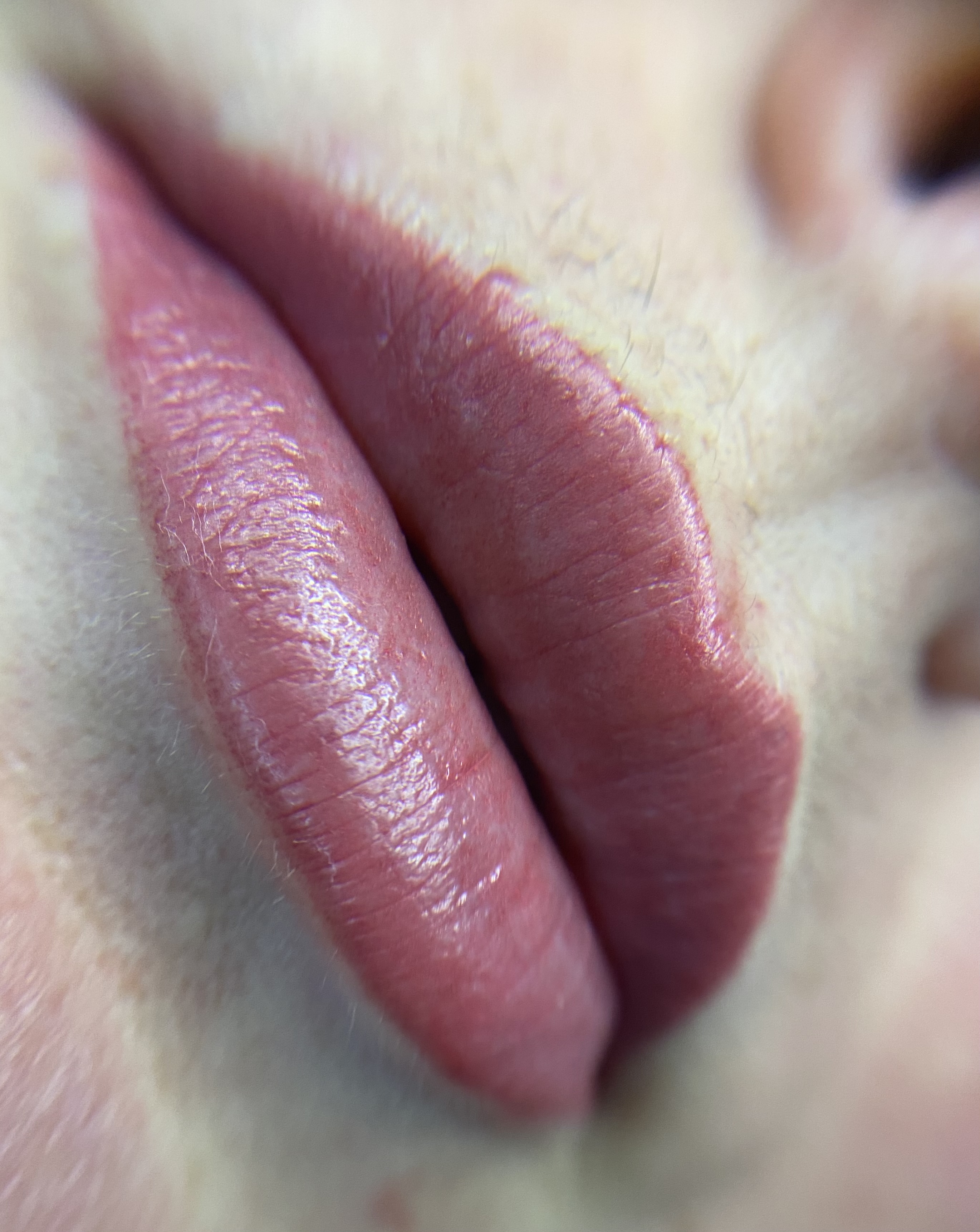 Акварельный татуаж губ перманентный макияж, фото - Мастер татуажа Ольга Красноруцька