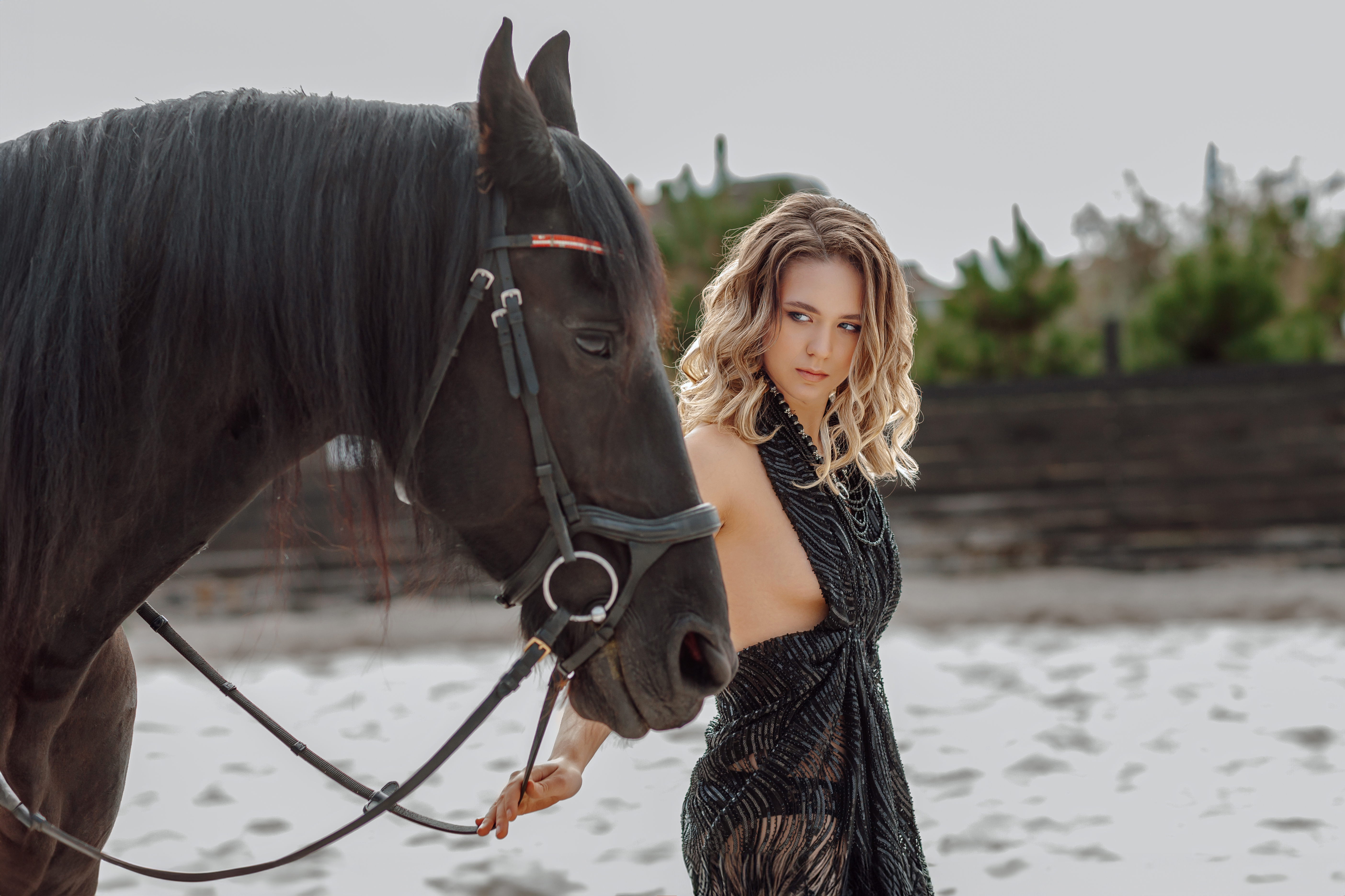 Фотосесія з тваринами, фото - Фотограф Геннадій Лебедєв