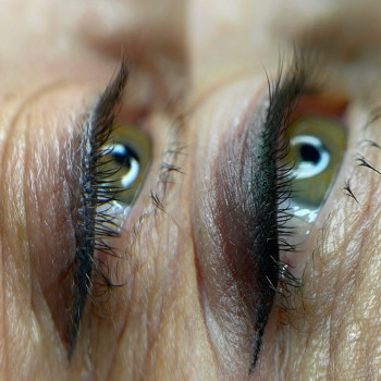 Фото с портфолио Тетяна Літвінчук