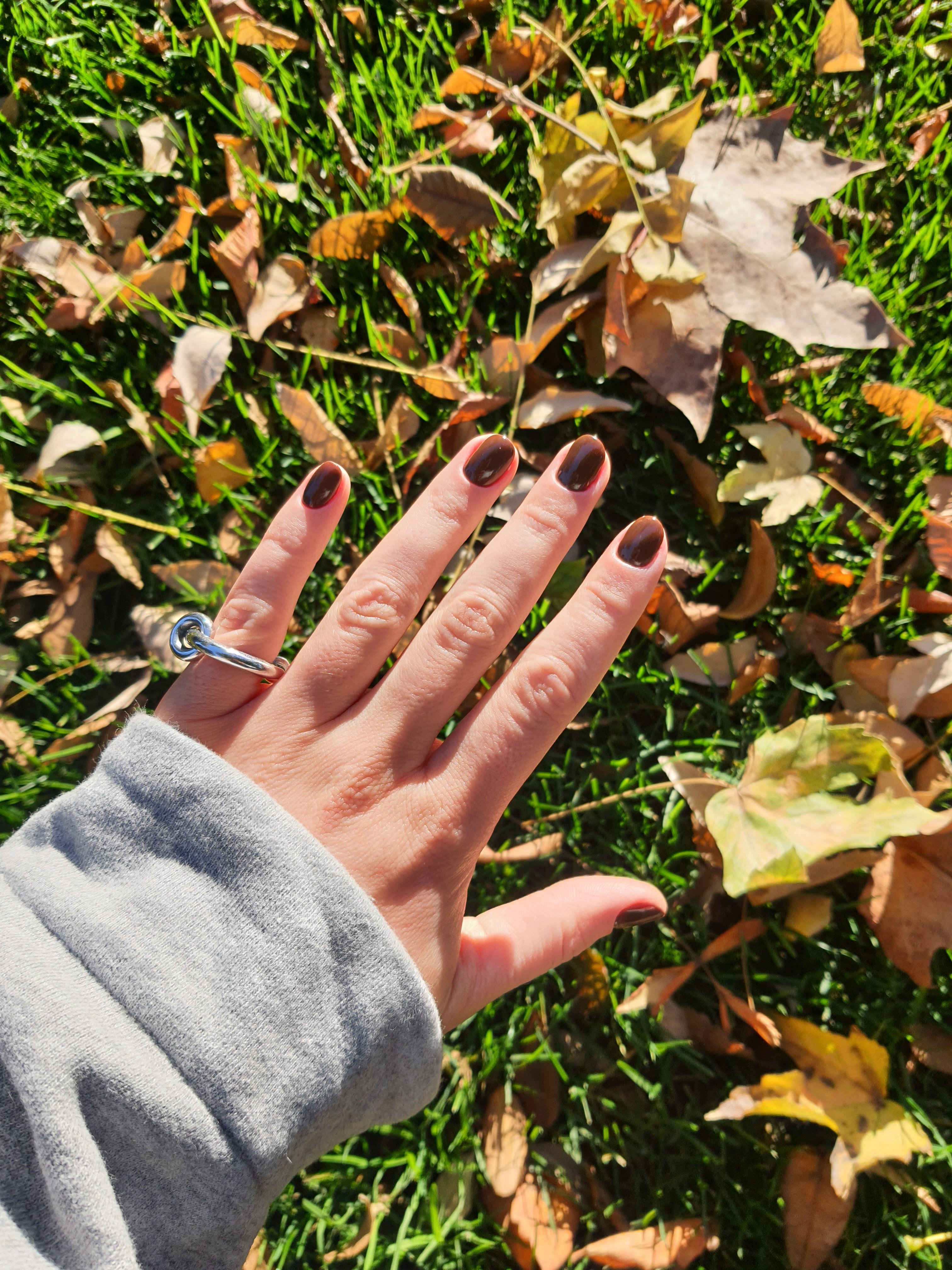 Маникюр осень шоколадный осенний, фото - Салон красоты OH NAILS