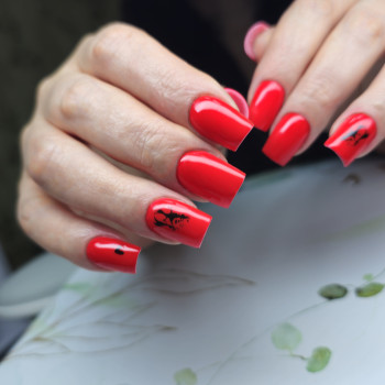 Фото с портфолио Анастасія Гайдей