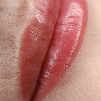 Акварельні губки