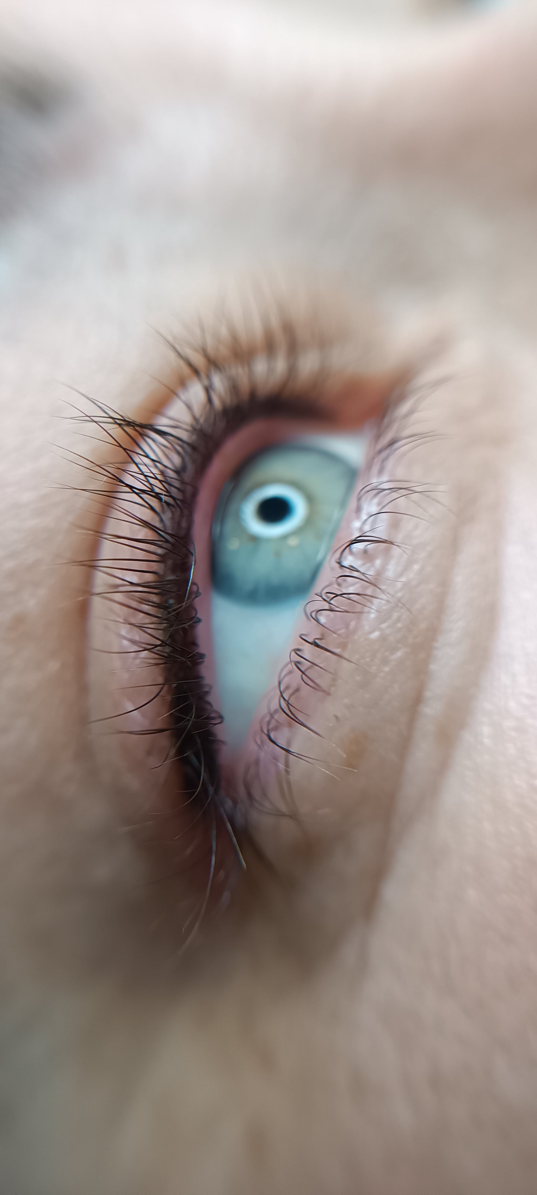 Пм міжвійки, фото - Майстер татуажу Ксенія Гринько