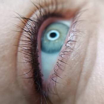 пм міжвійки