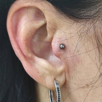 Пірсинг "Трагус" (з титановою прикрасою для первісного проколу)