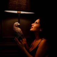 Масажист  Дніпро,Вулиця Королеви Елізавети 18