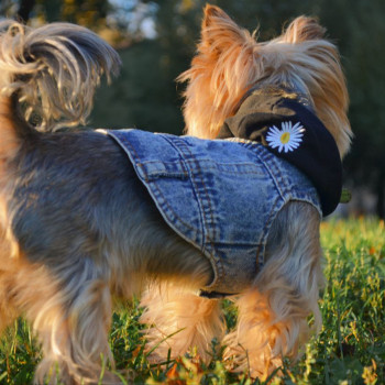 Фото с портфолио Юрій Ахполов