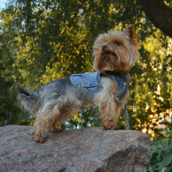 Фото с портфолио Юрій Ахполов