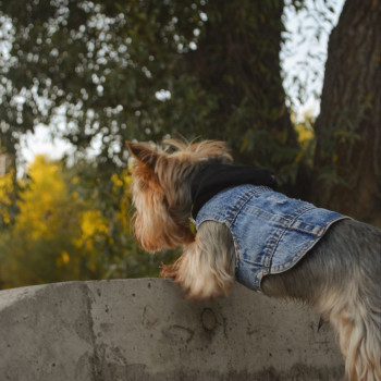 Фото с портфолио Юрій Ахполов