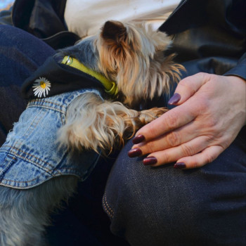 Фото с портфолио Юрій Ахполов