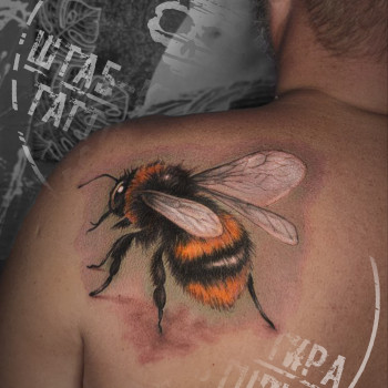 Фото с портфолио Штаб-Квартира Tattoo Studio