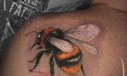 Сеанс цветной тату Тату салон Штаб-Квартира Tattoo Studio Одеса