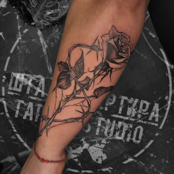 Фото с портфолио Штаб-Квартира Tattoo Studio