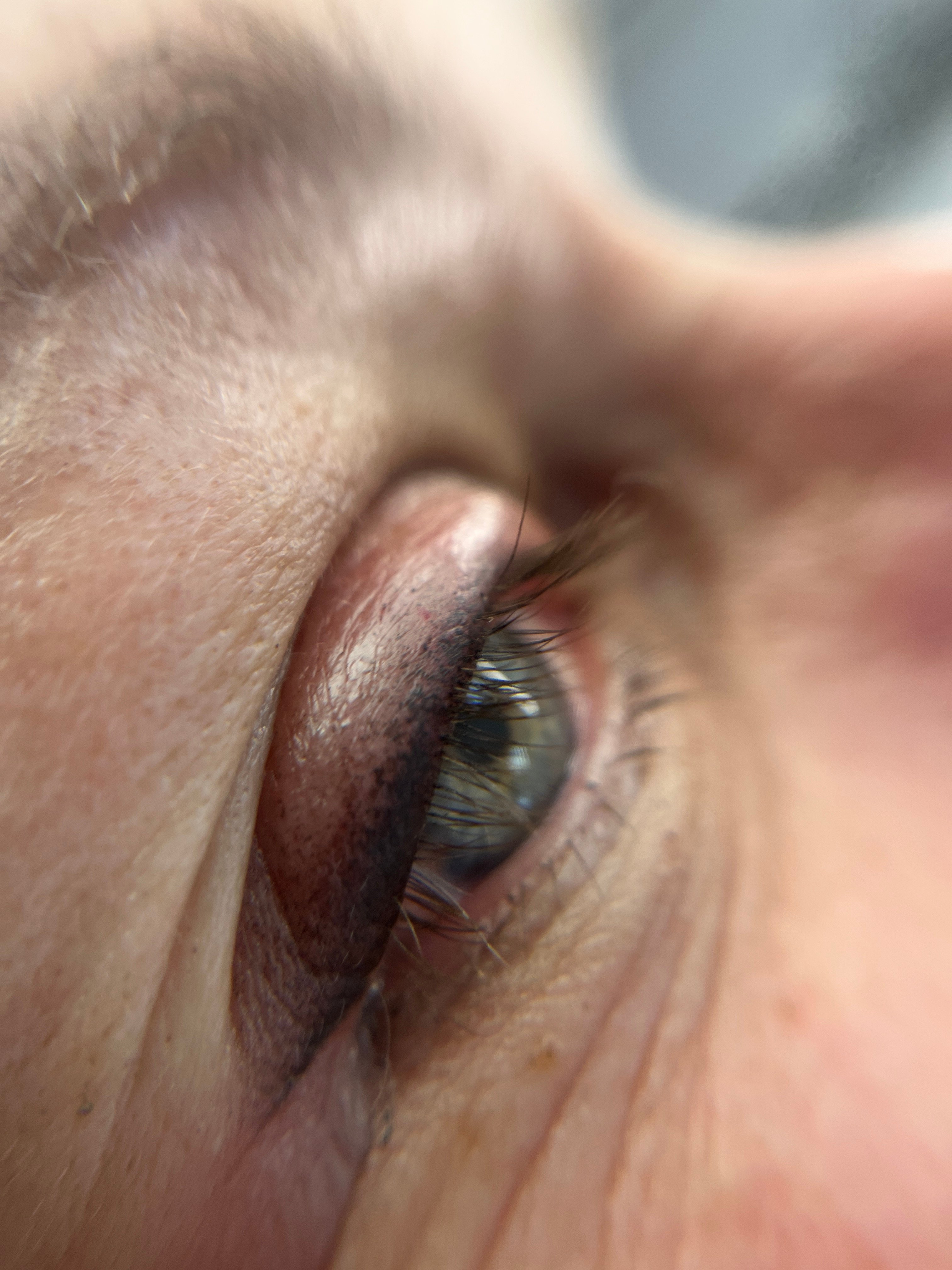 Перманент глаз татуаж стрелки, фото - Мастер татуажа Наталія Семенцова