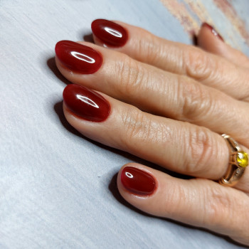 Фото с портфолио Ольга Галузинская