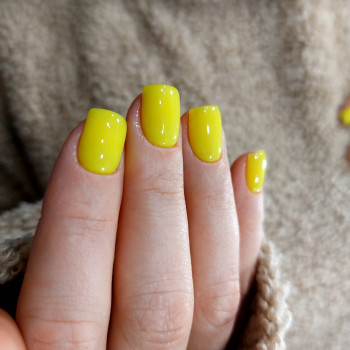 Фото с портфолио Ольга Галузинская