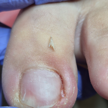 Фото с портфолио Ольга Галузинская