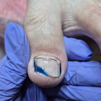 Фото с портфолио Ольга Галузинская