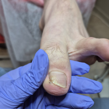 Фото с портфолио Ольга Галузинская