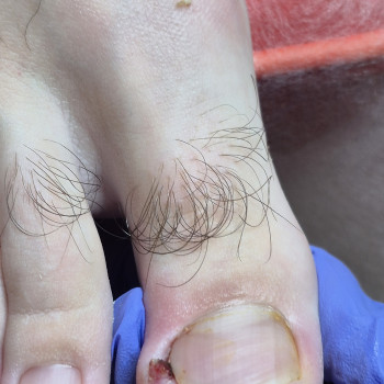 Фото с портфолио Ольга Галузинская