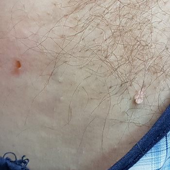 Фото с портфолио Вікторія Олександрівна Кушнір