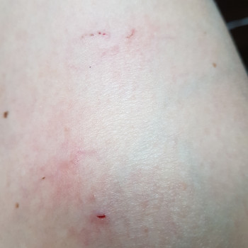 Фото с портфолио Вікторія Олександрівна Кушнір