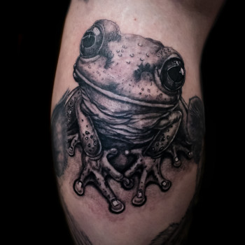 Фото с портфолио Сергей 