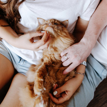 Фото с портфолио Анна Шаульская