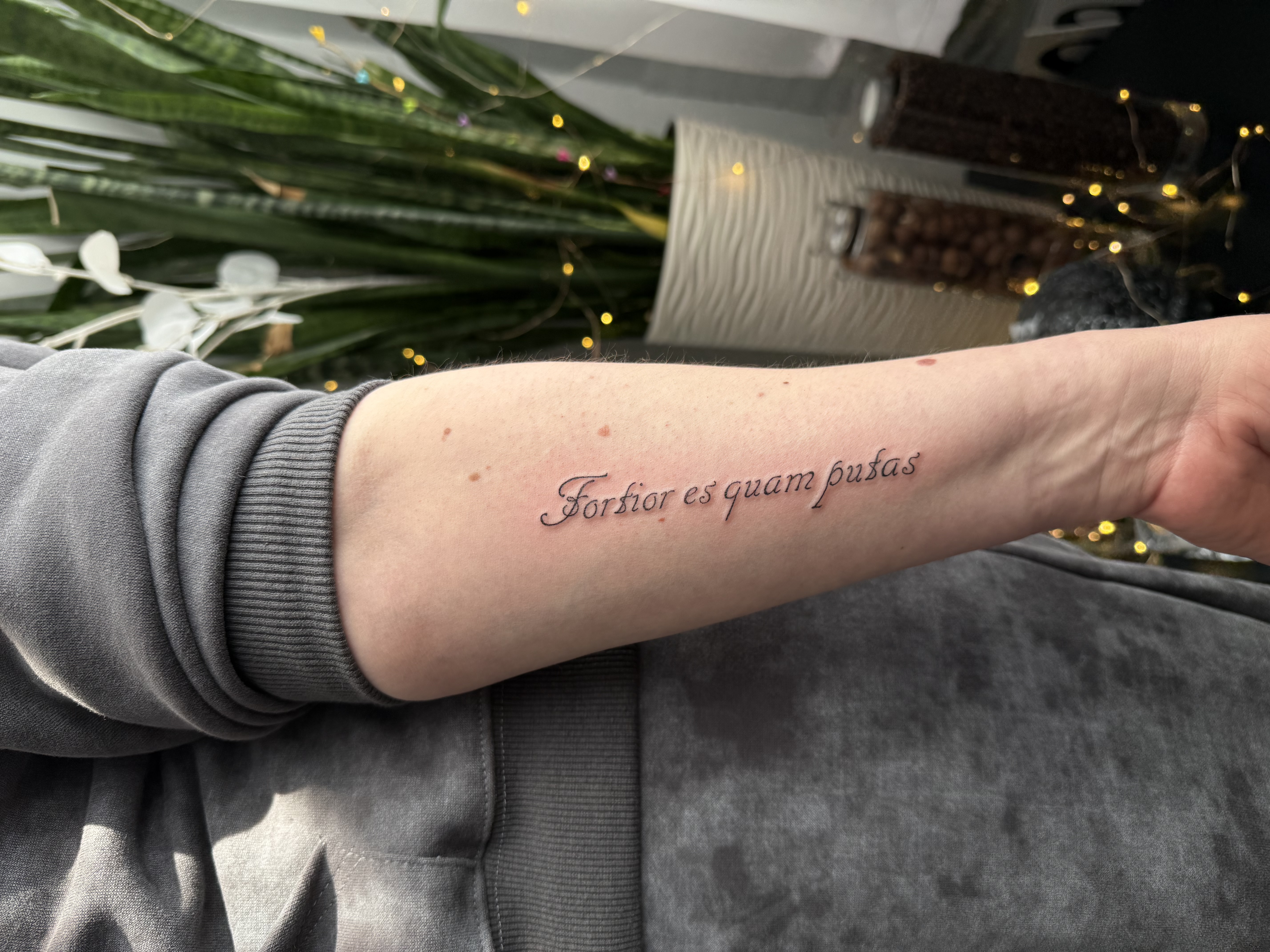 На руке предплечье надпись, фото - Тату мастер Светлана Тимошенко