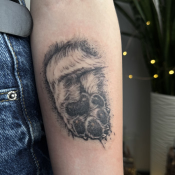 Фото с портфолио Світлана Тімошенко