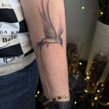 Фото с портфолио Світлана Тімошенко