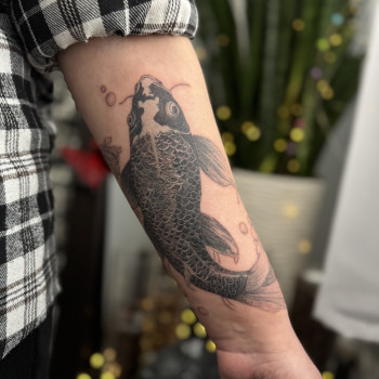 Фото с портфолио Світлана Тімошенко