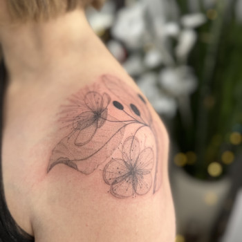 Фото с портфолио Світлана Тімошенко