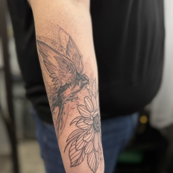 Фото с портфолио Світлана Тімошенко