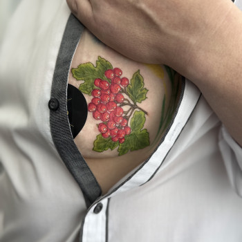 Фото с портфолио Світлана Тімошенко