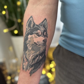 Фото с портфолио Світлана Тімошенко