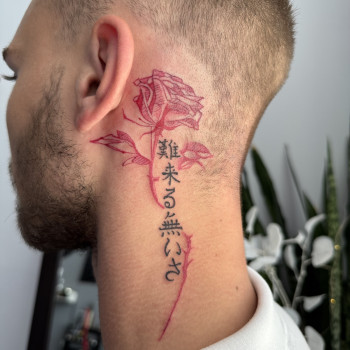 Фото с портфолио Світлана Тімошенко