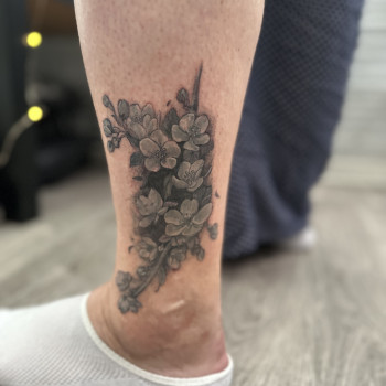 Фото с портфолио Світлана Тімошенко