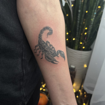 Фото с портфолио Світлана Тімошенко