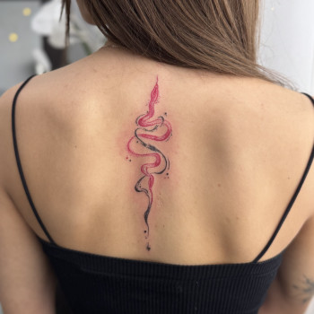 Фото с портфолио Світлана Тімошенко