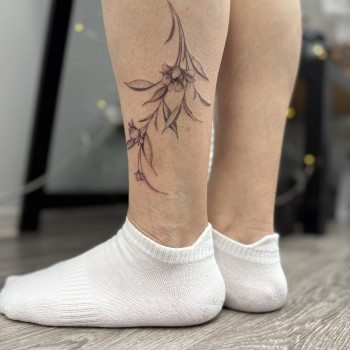 Фото с портфолио Світлана Тімошенко