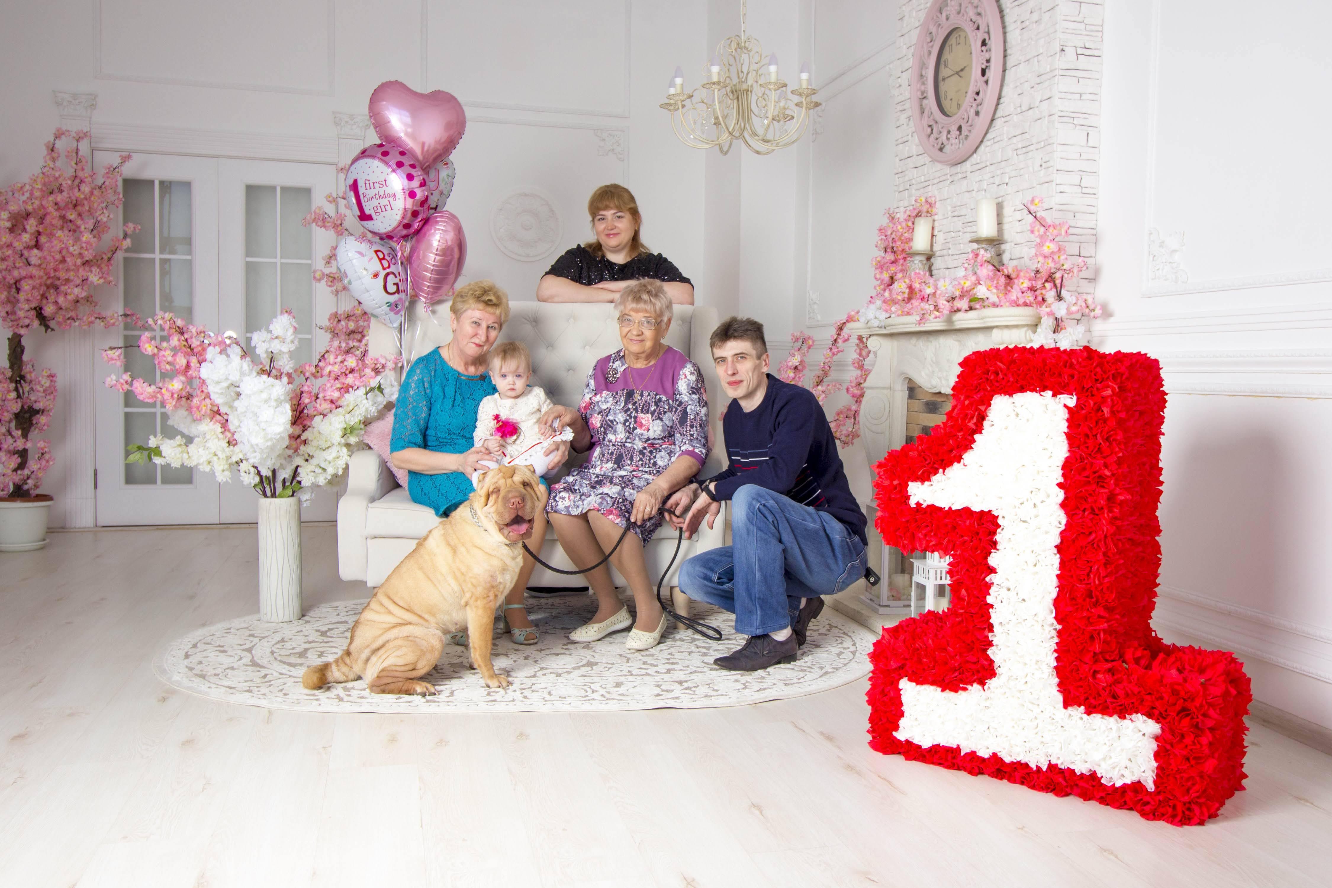 Сімейна фотосесія у студії на день народження, фото - Фотограф Надія Струлева